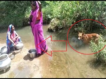 স্বাধীনতার ৭৫ বছর, এখনও দেশের এই গ্রামে কুকুরের সঙ্গে এক ঘাটে জল খায় মানুষ! স্বাধীনতার ৭৫ বছর, এখনও দেশের এই গ্রামে কুকুরের সঙ্গে এক ঘাটে জল খায় মানুষ!