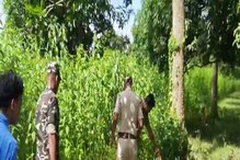 বাঁধতে গিয়ে ফেটে গেল বোমা, গভীর রাতে জোরালো বিস্ফোরণে কাঁপল মানিকচক, মৃত ২ বাঁধতে গিয়ে ফেটে গেল বোমা, গভীর রাতে জোরালো বিস্ফোরণে কাঁপল মানিকচক, মৃত ২