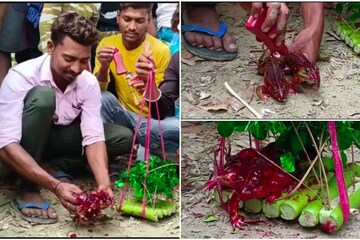 চলছে
