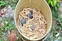 বাগানের মধ্যে জার ভর্তি তাজা বোমা,ঘটনাস্থলে বম্ব স্কোয়াড বাগানের মধ্যে জার ভর্তি তাজা বোমা,ঘটনাস্থলে বম্ব স্কোয়াড