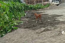 প্রশাসনিক নির্দেশিকাকে বুড়ো আঙ্গুল! প্রশাসনিক নির্দেশিকাকে বুড়ো আঙ্গুল!