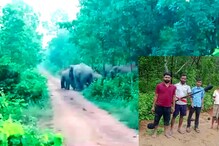ঝাড়গ্রাম জেলা জুড়ে হাতির তাণ্ডব, নাজেহাল গ্রামবাসী! দেখুন ভিডিও ঝাড়গ্রাম জেলা জুড়ে হাতির তাণ্ডব, নাজেহাল গ্রামবাসী! দেখুন ভিডিও
