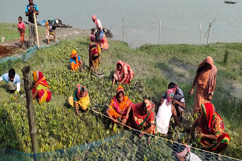 এই বিস্তীর্ণ ম‍্যানগ্রোভের জাল আয়লা, ফণী, ইয়াস সহ একাধিক সামুদ্রিক ঝড়ের হাত থেকে রক্ষা করেছে জীবকূলকে। আর সেজন্য ম‍্যানগ্রোভ রক্ষা করার প্রয়োজনীয়তা বেড়েছে দিনের পর দিন।