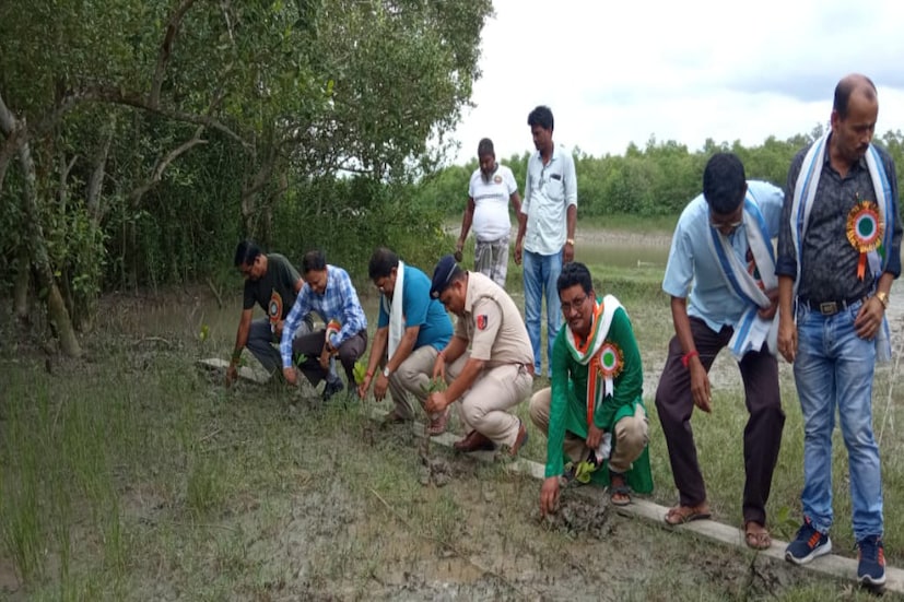 ২৬ শে জুলাই বিশ্ব জুড়ে পালিত হয় বিশ্ব ম‍্যানগ্রোভ দিবস। সুন্দরবনের বিস্তীর্ণ অঞ্চল দক্ষিণ ২৪ পরগণা জেলার মধ‍্যে পড়ায় এই জেলায় উৎসবের মেজাজে পালিত হচ্ছে এই দিন।