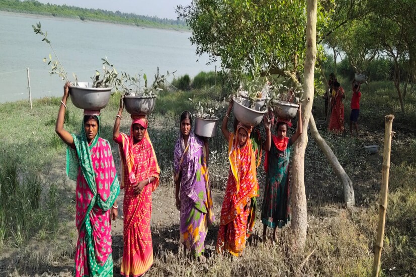 এই বিশ্ব ম‍্যানগ্রোভ দিবসের মূল অনুষ্ঠান মঙ্গলবার পালিত হচ্ছে হবে দক্ষিণ ২৪ পরগনার সাগর দ্বীপে। এই অনুষ্ঠানে উপস্থিত ছিলেন জেলাশাসক সুমিত গুপ্তা, সুন্দরবন উন্নয়ন মন্ত্রী বঙ্কিমচন্দ্র হাজরা সহ অন‍্যান‍্য বিশিষ্ট ব‍্যক্তিরা।