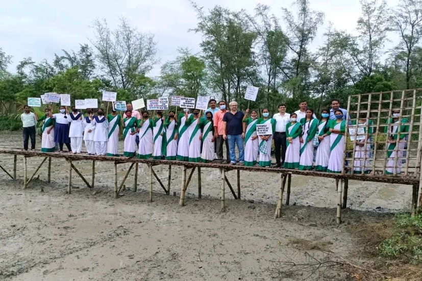 জেলা প্রশাসন সূত্রে খবর ইতিমধ্যে দক্ষিণ ২৪ পরগণা জেলায় সাড়ে চার হাজার হেক্টর জমিতে ১২ কোটি ম্যানগ্রোভের চারা লাগানো হয়েছে। চলতি বছরে আরও ২ কোটি চারা লাগানো হবে। জেলায় ম্যানগ্রোভের চারা তেরীর জন্য তিরিশটিরও বেশী নার্সারি তৈরী করা হয়েছে।