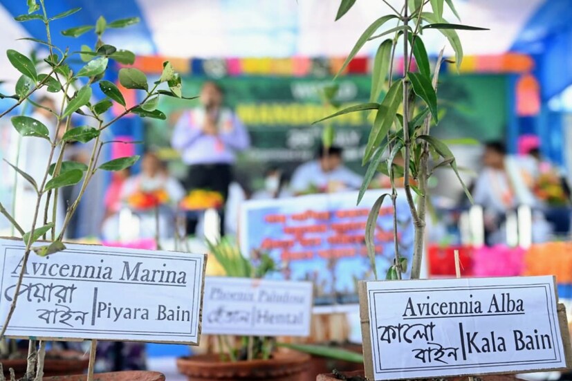 এই পড়ুয়ারা তাদের পরিবারের সদস্যদের ম্যানগ্রোভ নিয়ে সচেতন করবে। সবমিলিয়ে মঙ্গলবার বিশ্ব ম‍্যানগ্রোভ দিবসে সুন্দরবন জুড়ে চলছে উৎসবের মেজাজ।