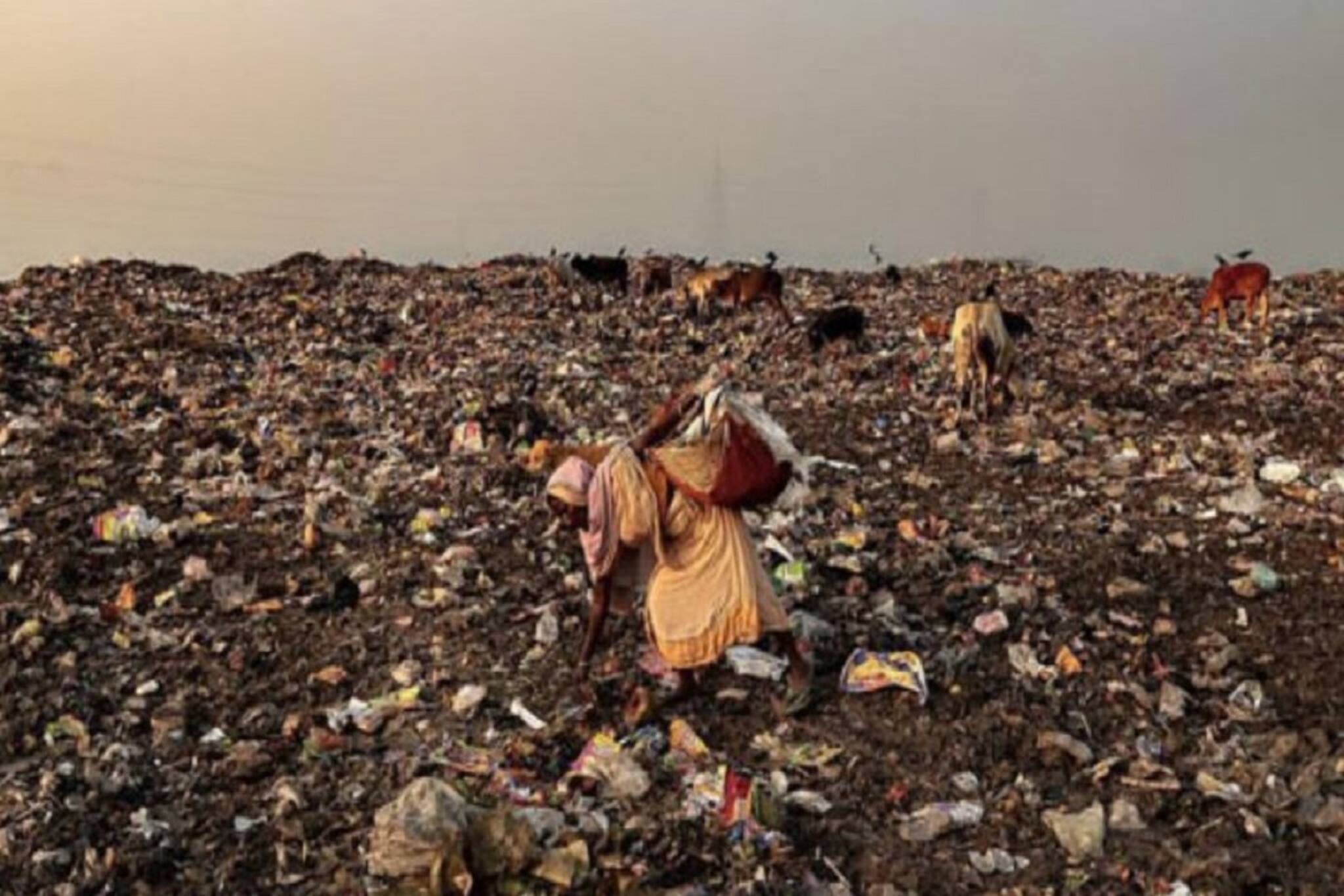 ধাপায় ময়লা ফেলতে গেলে এবার মাথায় রাখতে হবে গ্রিন ট্রাইবুনালের নয়া নির্দেশিকা!