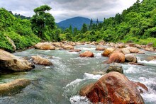 ডুয়ার্সে এবার অচেনা জায়গার খোঁজ! করা হচ্ছে নতুন হোম স্টে! আলিপুরদুয়ারে বৈঠক
