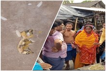 মিড-ডে মিলে টিকটিকি! খাবার খেয়ে অসুস্থ ৫০জন পড়ুয়া! ভয়াবহ অবস্থা মিড-ডে মিলে টিকটিকি! খাবার খেয়ে অসুস্থ ৫০জন পড়ুয়া! ভয়াবহ অবস্থা