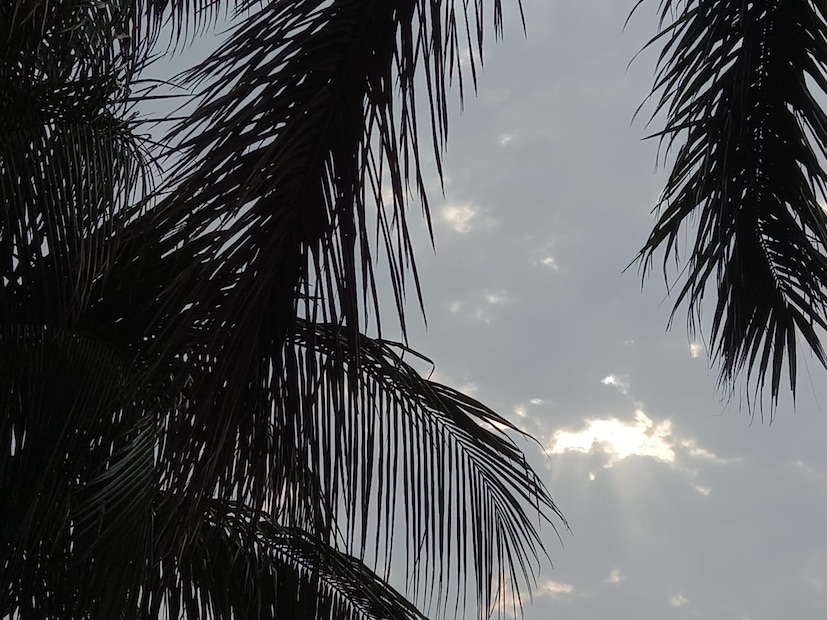  কলকাতায় আংশিক মেঘলা আকাশ। দু-এক পশলা বজ্রবিদ্যুৎ-সহ হালকা থেকে মাঝারি বৃষ্টির সম্ভাবনা রয়েছে। সামান্য সময়ের এই বৃষ্টি হবে পাসিং শাওয়ারের মতো। বাতাসে জলীয় বাষ্প বেশি থাকার কারণে অস্বস্তি হবে। আগামী ২৪ ঘণ্টায় কলকাতা শহরে তাপমাত্রা ২৭ ডিগ্রি সেলসিয়াস থেকে ৩৩ ডিগ্রি সেলসিয়াসের মধ্যে থাকবে। আজ, বুধবার সকালে সর্বনিম্ন তাপমাত্রা ছিল ২৭.৫ ডিগ্রি সেলসিয়াস। যা স্বাভাবিকের চেয়ে এক ডিগ্রি বেশি। গতকাল বিকেলে সর্বোচ্চ তাপমাত্রা ছিল ৩২.৭  ডিগ্রি সেলসিয়াস যা স্বাভাবিক। বাতাসে আপেক্ষিক আর্দ্রতার পরিমাণ ৬২ থেকে ৯২ শতাংশ। গত ২৪ ঘণ্টায় কলকাতা শহরে বৃষ্টি হয়েছে ৬ মিলিমিটার।