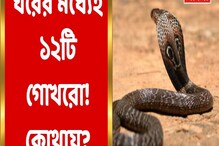 বেড়েই চলেছে সাপের উপদ্রব, উদ্ধার ১২ টি গোখরো, দেখুন ভিডিও বেড়েই চলেছে সাপের উপদ্রব, উদ্ধার ১২ টি গোখরো, দেখুন ভিডিও