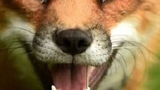 Child Died (প্রতীকী ছবি)