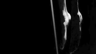 Jalpaiguri News (প্রতীকী ছবি) Jalpaiguri News (প্রতীকী ছবি)