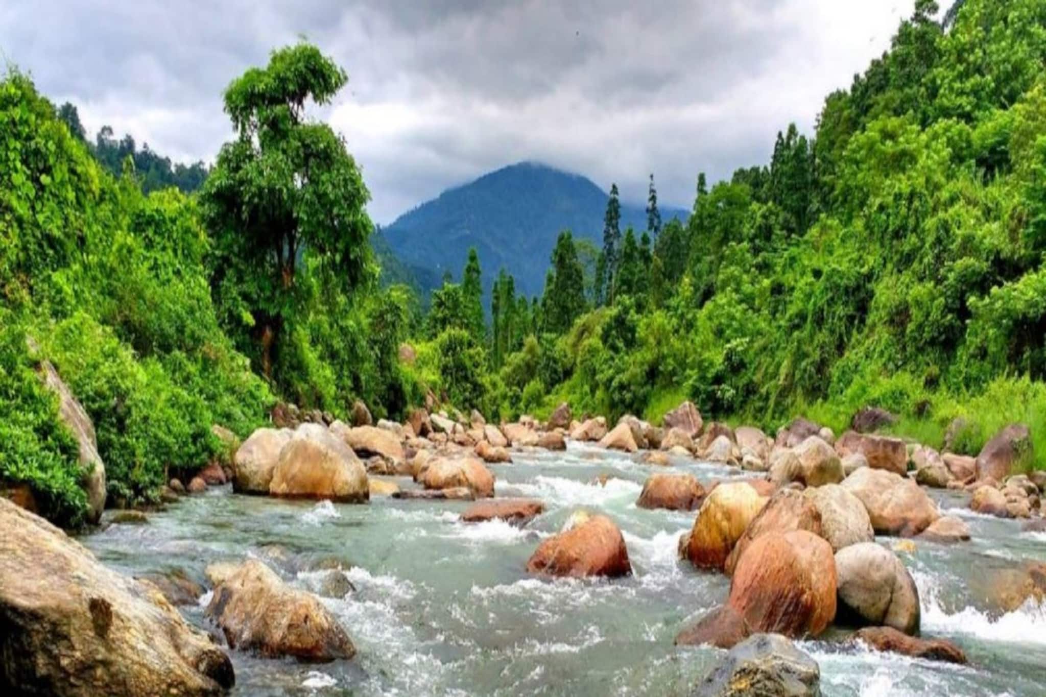 ডুয়ার্স বেড়াতে ভালবাসেন, উত্তরবঙ্গের দ্বিতীয় বিমানবন্দর গড়ে উঠবে হাসিমারায়