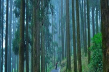 Weekend trip from Kolkata: আপনি বৃষ্টি ভালবাসেন? আগামী সপ্তাহান্তে কলকাতার আশেপাশে ঘুরে আসুন এই জায়গাগুলোতে