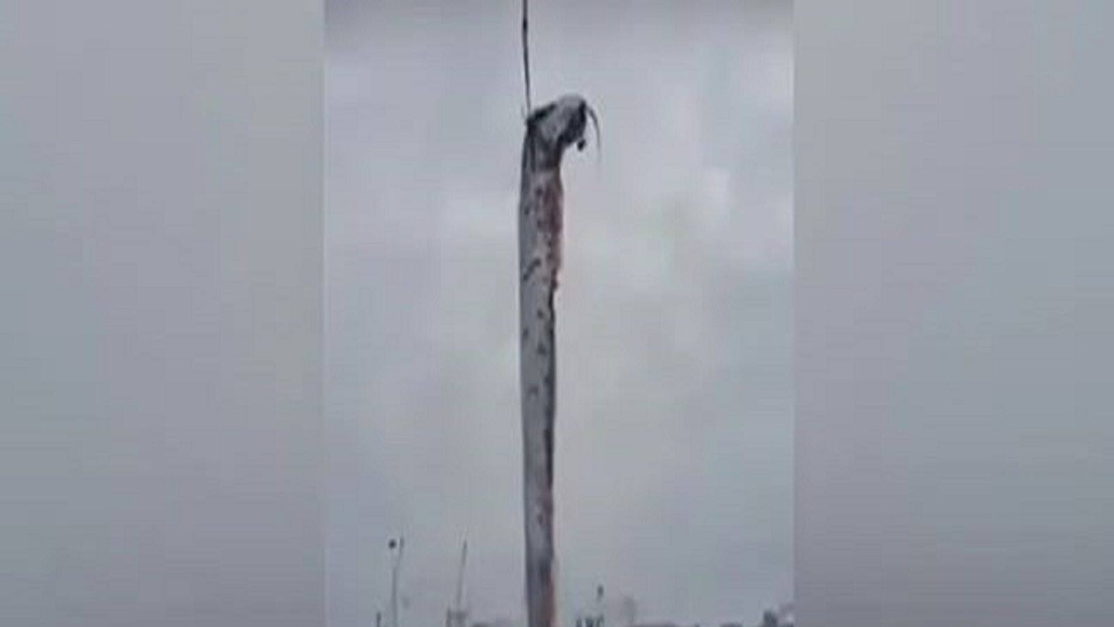 আকার-রূপে ভয়ঙ্কর, সমুদ্র থেকে উঠল বিরাট ‘দৈত্য’! যোগ আছে নাকি ভূমিকম্পের সঙ্গে আকার-রূপে ভয়ঙ্কর, সমুদ্র থেকে উঠল বিরাট ‘দৈত্য’! যোগ আছে নাকি ভূমিকম্পের সঙ্গে