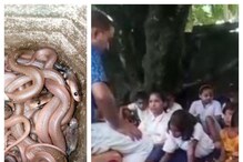 স্কুলে কিলবিল করছে সাপ, গাছতলাতেই ক্লাস! কোচবিহারে আতঙ্কে পড়ুয়ারা স্কুলে কিলবিল করছে সাপ, গাছতলাতেই ক্লাস! কোচবিহারে আতঙ্কে পড়ুয়ারা