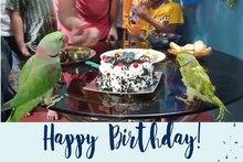 সবুজ রঙ, লাল ঠোঁটের দুটি টিয়া! জন্মদিনে এলাহি ভোজ, কেক থেকে লুচি, রইল ভিডিও