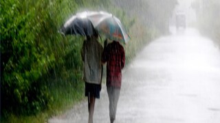 প্রতীকী ছবি। প্রতীকী ছবি।