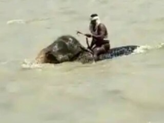 Viral Video