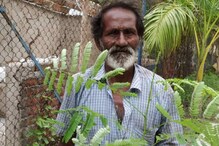 ভোর রাতে শাবল হাতে নিউটাউনে, অরণ্য বানানোর আশায় গাছ লাগিয়ে বেড়ান লক্ষ্মণ কাকা ভোর রাতে শাবল হাতে নিউটাউনে, অরণ্য বানানোর আশায় গাছ লাগিয়ে বেড়ান লক্ষ্মণ কাকা