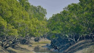 প্রতীকী ছবি