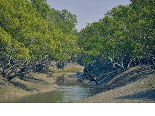 প্রতীকী ছবি