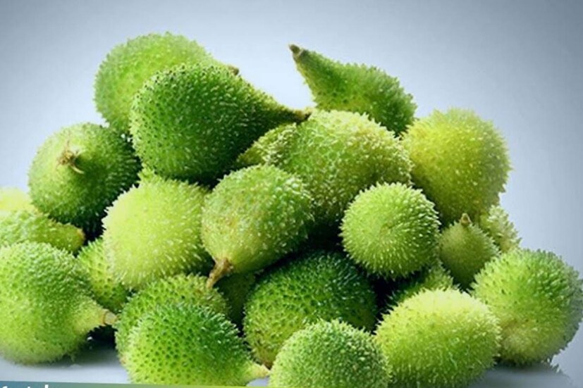 গরমে ও বর্ষায় কাঁকরোল খাওয়া খুব উপকারী ৷ কারণ এই সব্জি শরীরকে শীতল করে ৷ 