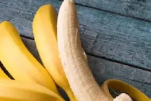 Bananas in Monsoon : বর্ষায় কলা খাওয়া কতটা নিরাপদ, জেনে নিন Bananas in Monsoon : বর্ষায় কলা খাওয়া কতটা নিরাপদ, জেনে নিন