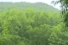 ভাল থাকার আশীর্বাদ চেয়ে পুজো প্রাচীন পাহাড়দেবতার, বেলপাহাড়িতে ভক্তদের ঢল
