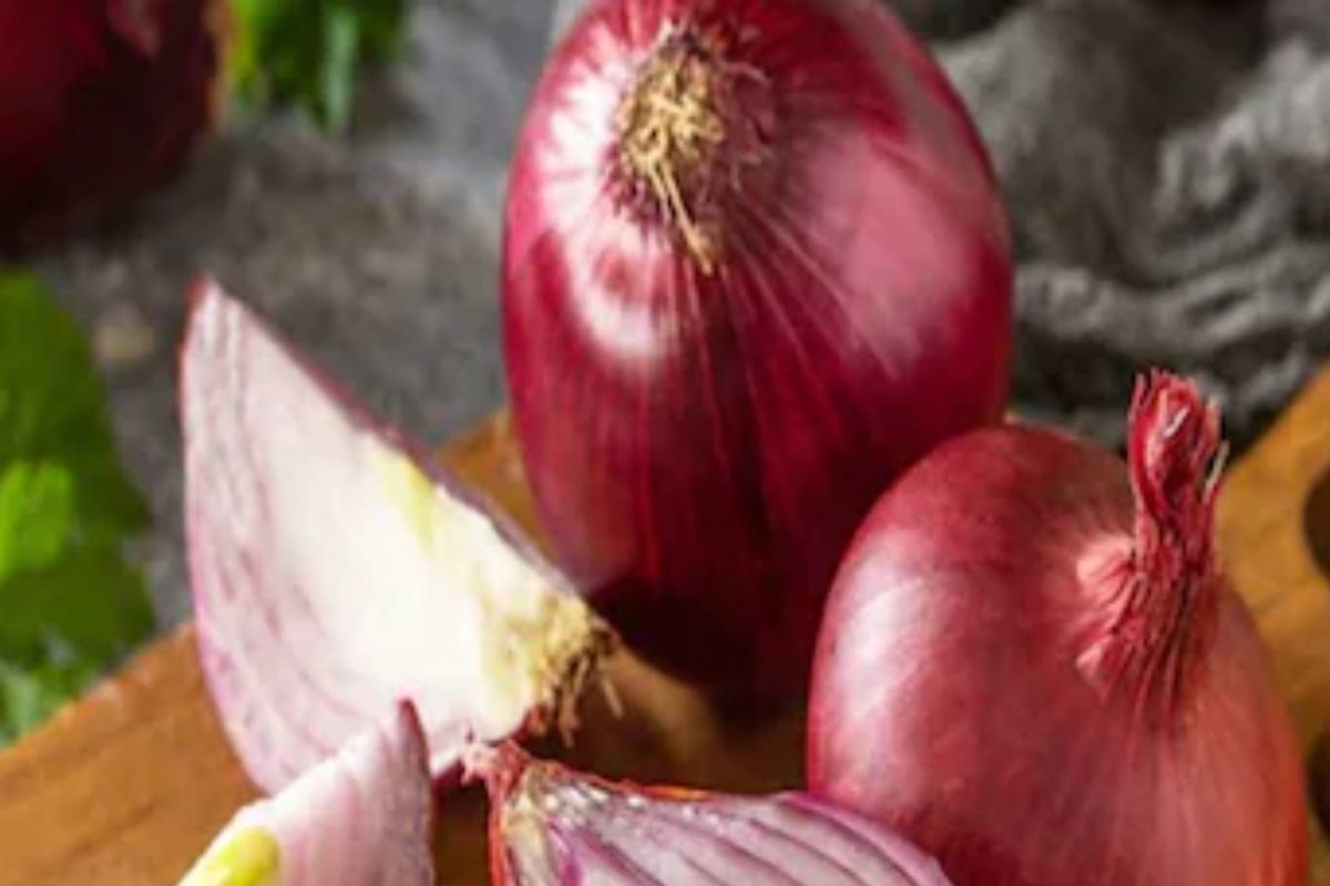 Onion in weight loss : শত চেষ্টাও বিফল? পেঁয়াজেই লুকিয়ে আপনার রোগা হওয়ার মন্ত্র