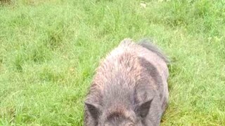 ঘনার খোঁজ পেতে পুলিশকে কড়া নির্দেশ হাইকোর্টের৷ 