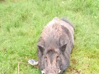 ঘনার খোঁজ পেতে পুলিশকে কড়া নির্দেশ হাইকোর্টের৷ 