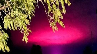 নীল আকাশ হঠাৎ গোলাপি!