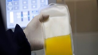 প্রতীকী ছবি৷ প্রতীকী ছবি৷