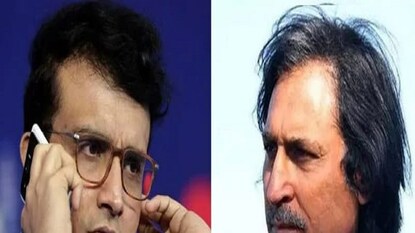 সৌরভকে খোঁচা রামিজ রাজার সৌরভকে খোঁচা রামিজ রাজার