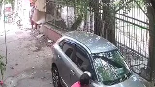 Viral Video Viral Video