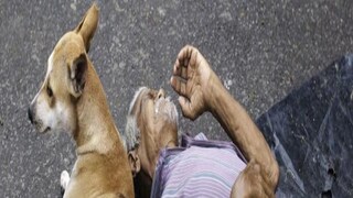 মানবিক না অমানবিক
প্রতীকী ছবি। 