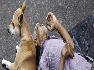 মানবিক না অমানবিক
প্রতীকী ছবি। 