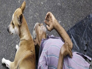 মানবিক না অমানবিক
প্রতীকী ছবি। 