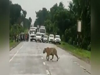 Viral Video