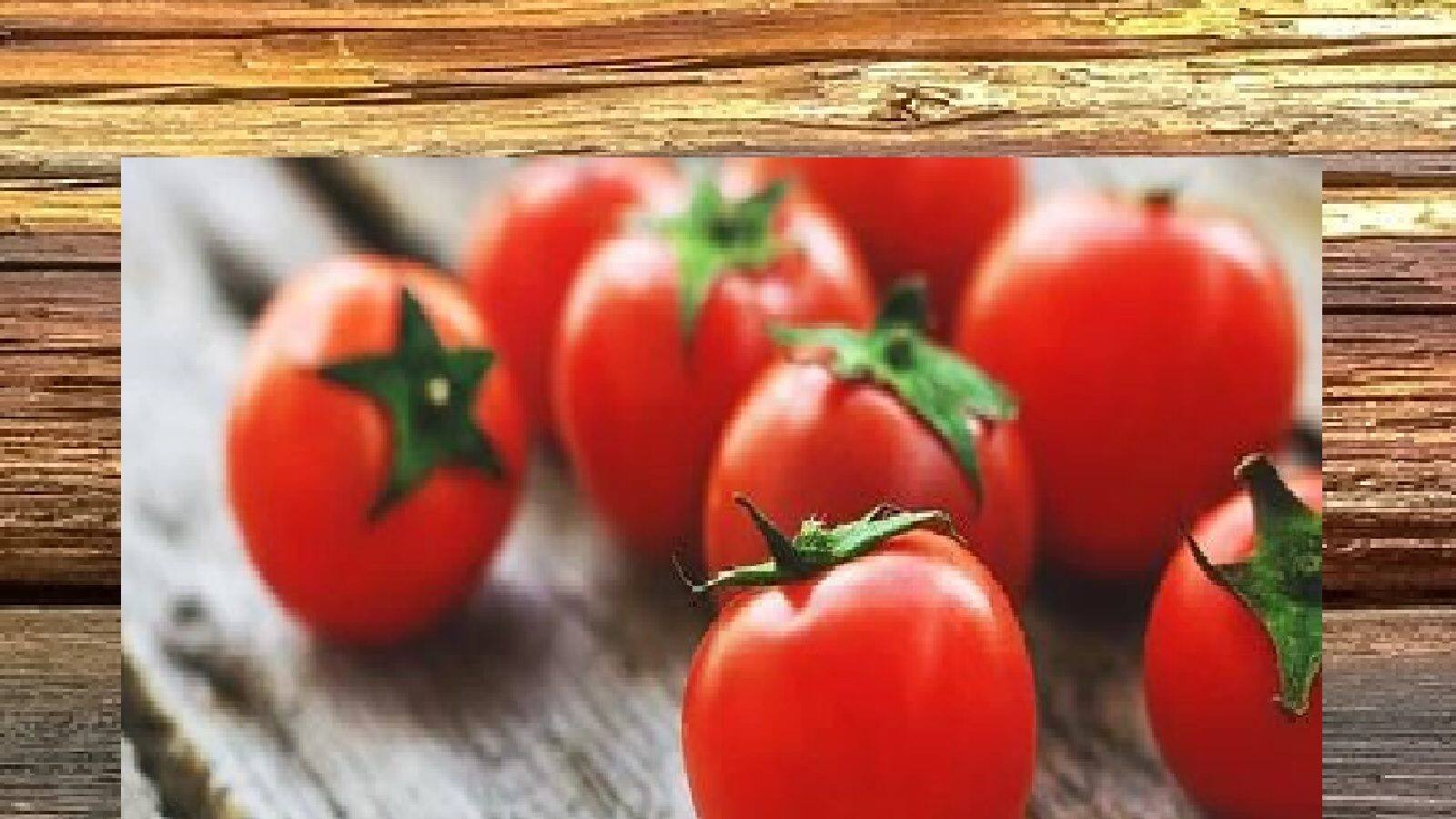Tomato Price Drop ৩ টাকা কিলোতেও কিনতে চাইছে না টমেটো, চমকে দেওয়ার