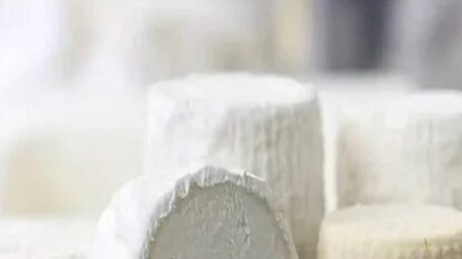 দাম শুনলে চোখ উঠবে কপালে! এই প্রাণীর দুধ থেকেই তৈরি হচ্ছে সোনার মতো দামি পনির দাম শুনলে চোখ উঠবে কপালে! এই প্রাণীর দুধ থেকেই তৈরি হচ্ছে সোনার মতো দামি পনির