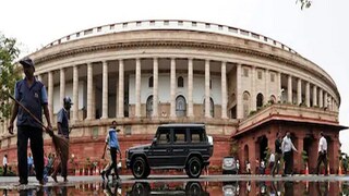 Vice President Election 2022