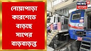 সাপের উপদ্রবে কাজ করা দায়! নোয়াপাড়া মেট্রো কার শেডে ছড়াল আতঙ্ক, দেখুন ভিডিও