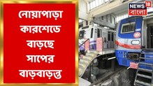 সাপের উপদ্রবে কাজ করা দায়! নোয়াপাড়া মেট্রো কার শেডে ছড়াল আতঙ্ক, দেখুন ভিডিও সাপের উপদ্রবে কাজ করা দায়! নোয়াপাড়া মেট্রো কার শেডে ছড়াল আতঙ্ক, দেখুন ভিডিও