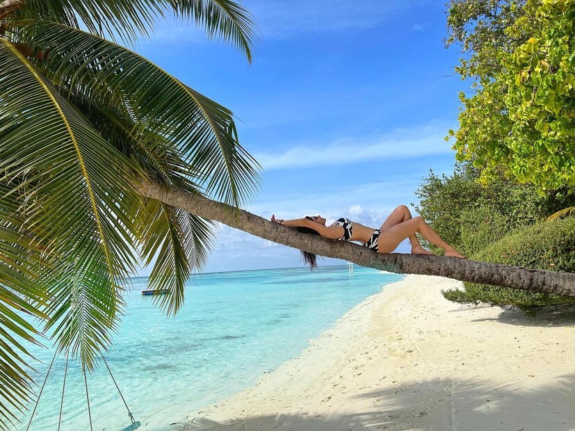 নারকেল গাছেই আলস্য যাপন তাঁর