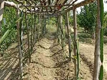 নিজস্ব