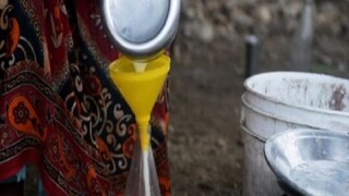 প্রতীকী চিত্র